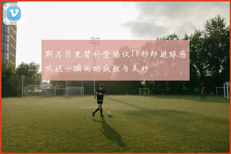 斯万贝里替补登场仅18秒即进球感叹这一瞬间的疯狂与美妙